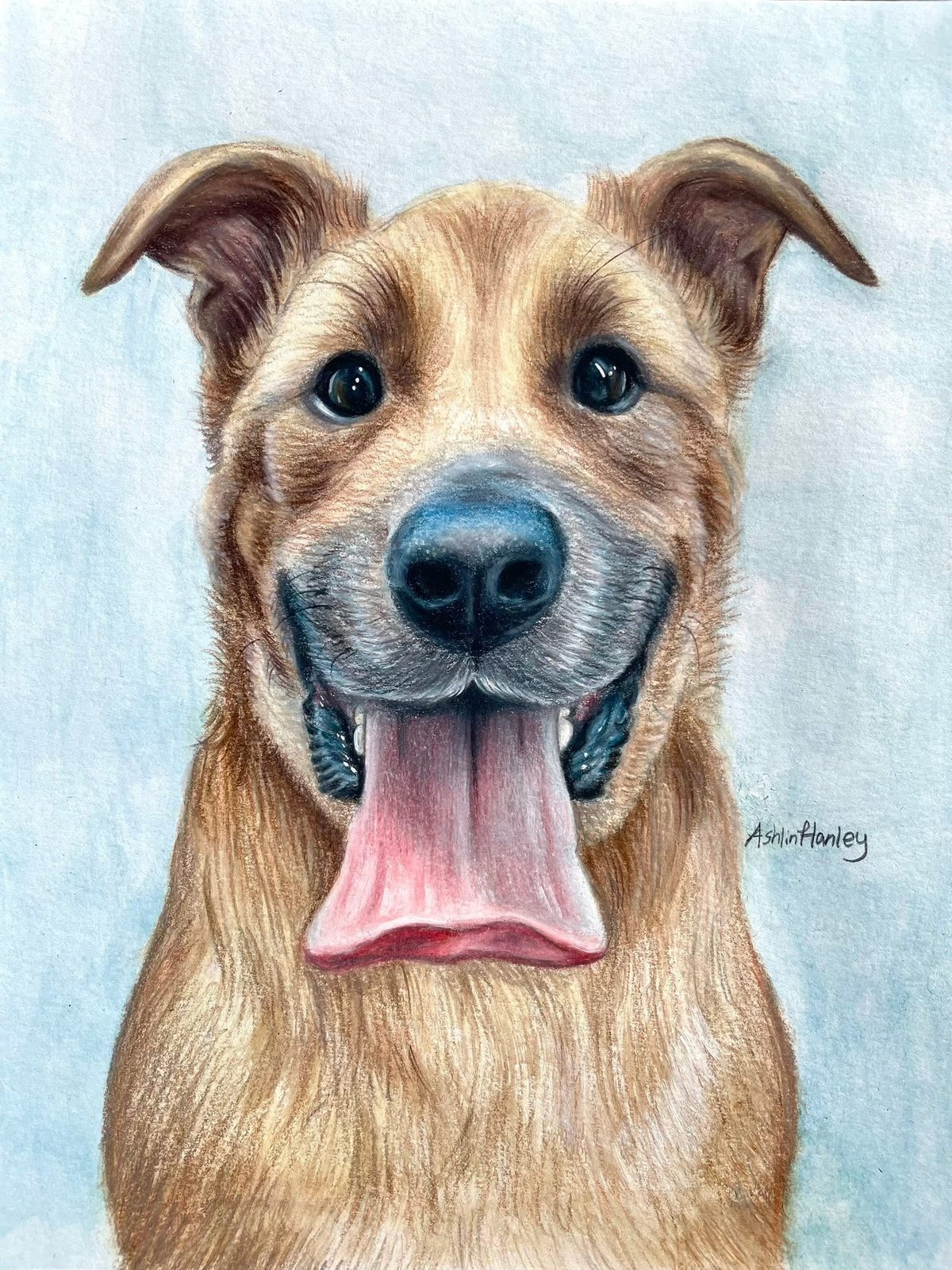 Colored pencil and watercolor portrait of Penny, by Ashlin Hanley